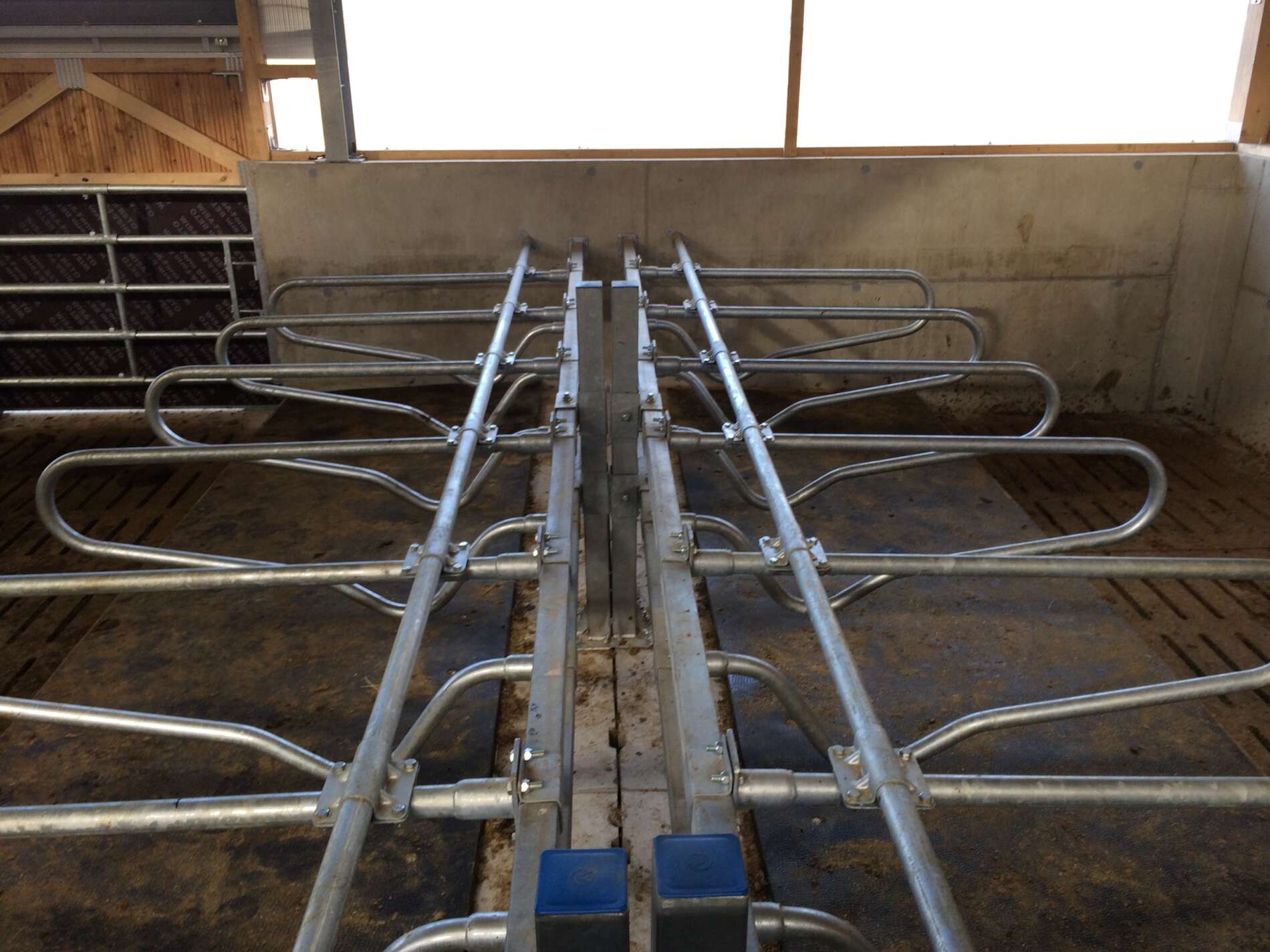Logette Qualitagri pour bovins