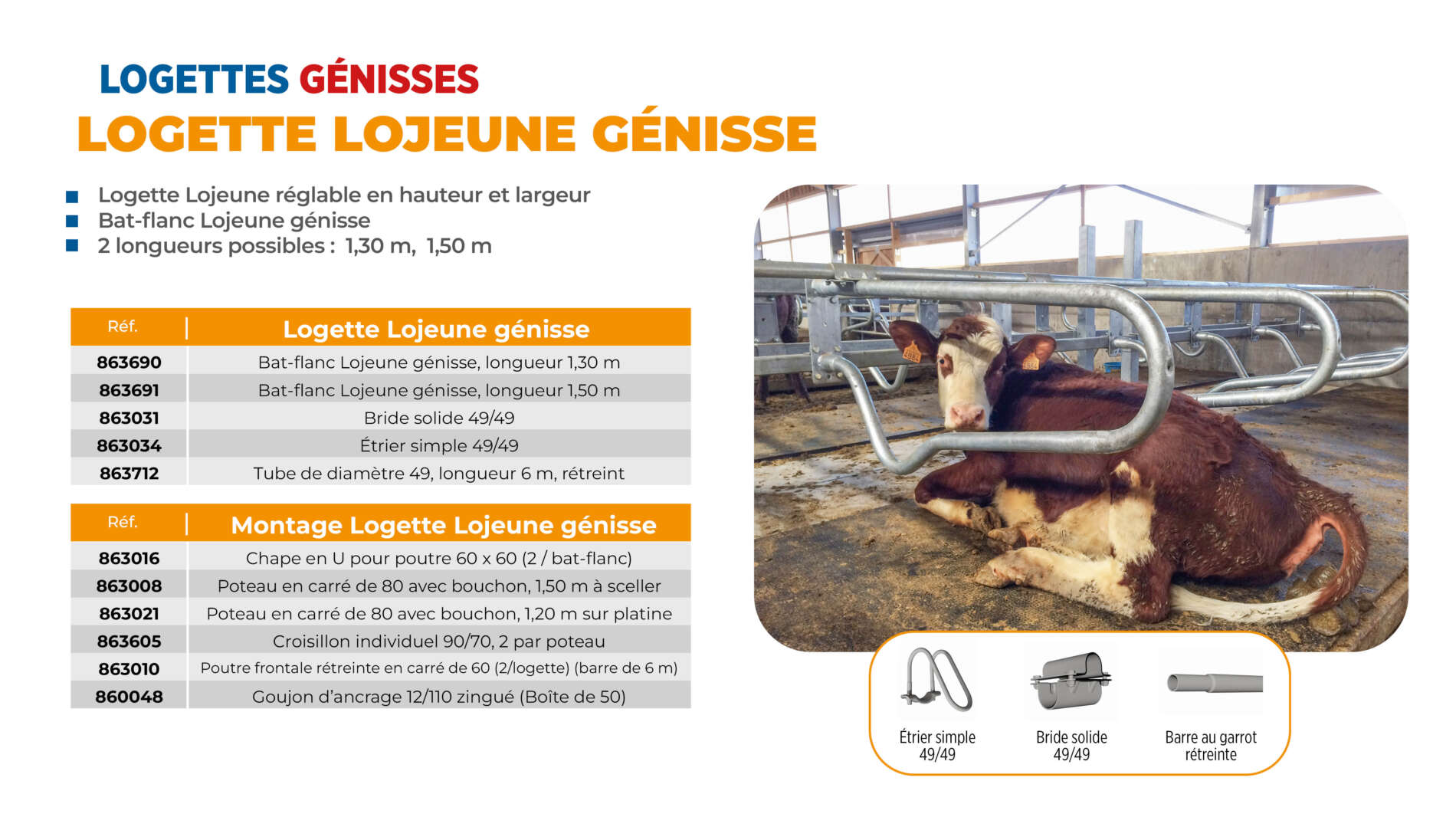 Logettes génisses (2)